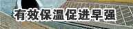有效保温促进早强