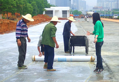 长沙芙蓉路养护膜使用现场